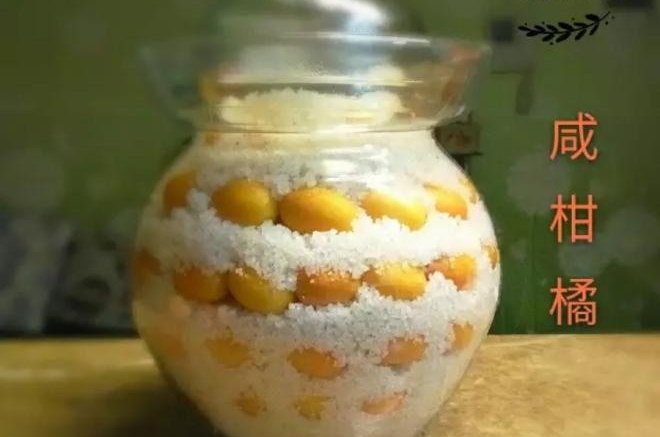 咸柑橘