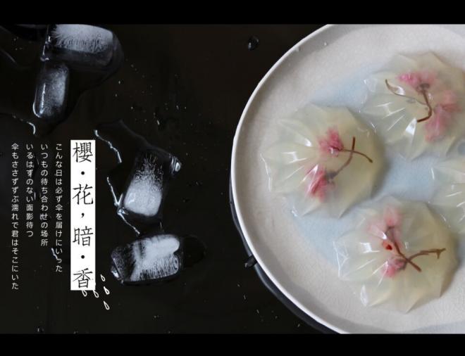 樱花果冻（海石花）