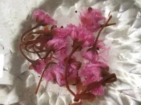 提前将盐渍樱花用清水泡开，一定要多过几遍水，盐渍樱花很咸很咸的。