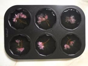 将热的海石花水倒满模具，晾凉后放入冰箱冷藏至全部凝固。