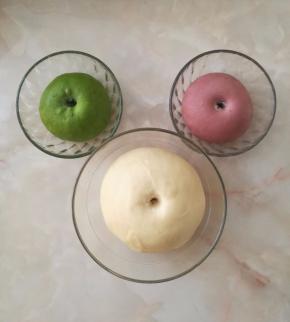 发酵到两倍大，手指沾面粉按压，不会回弹和回缩就是发酵好了、