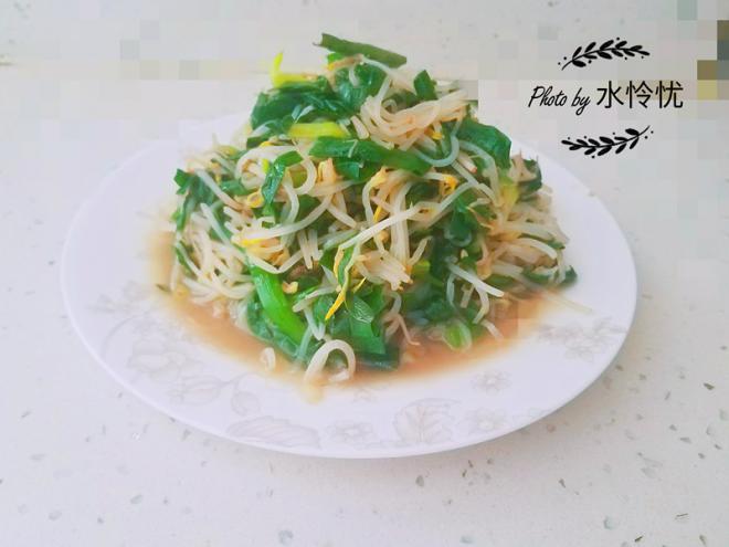 韭菜炒豆芽