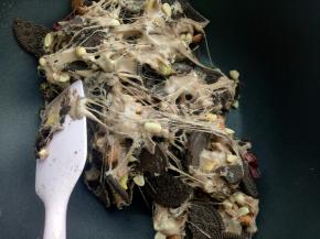 用刮刀简单翻拌几下，带上手套用手折叠翻动使棉花糖均匀的包裹。