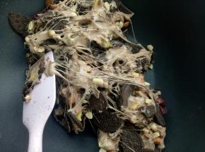 用刮刀简单翻拌几下，带上手套用手折叠翻动使棉花糖均匀的包裹。