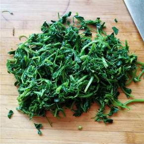 将焯制过的苜蓿切成段