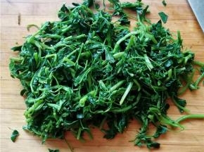 将焯制过的苜蓿切成段