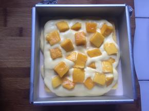 倒入一点芒果慕斯液，放入芒果颗粒