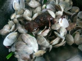 豆瓣酱