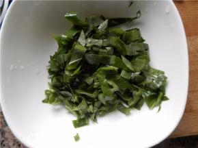 采集的车前草幼苗及嫩株，洗净，切碎。盛盘备用。