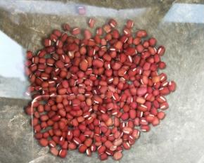 锅中放适量水(水量根据家庭成员来)，放红豆。