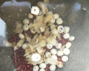 放百合，大火烧开转中小火煮至红豆开花熟即可关火。也可以用电压力锅。