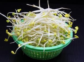 豆芽挑选好的，去根本，豆壳，洗净沥干水；
