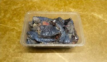 乌鸡让店家斩小块，回家后洗净飞水备用