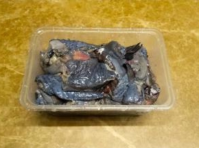 乌鸡让店家斩小块，回家后洗净飞水备用