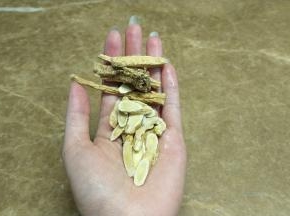 北芪党参洗净备用