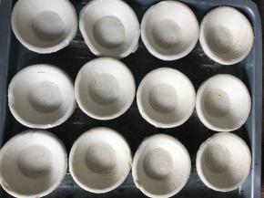 提前拿出蛋挞皮解冻