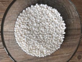 西米放入碗内，加入同等量的清水泡发