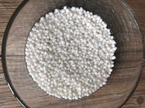 西米放入碗内，加入同等量的清水泡发
