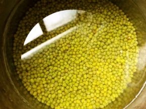 绿豆淘洗干净后清水泡1个小时