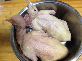乳鸽掏去内脏洗净