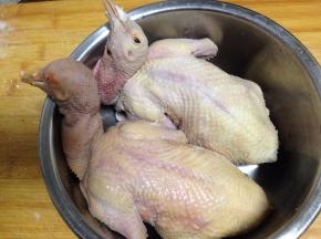 乳鸽掏去内脏洗净