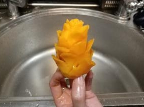 先凑合著吧( ＿ ＿)ノ｜壁