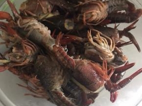 洗净小龙虾。放点老姜，分量外的，料酒。腌5分钟，不要太久，记得放冰箱，太久一会儿出来的肉口感不好
