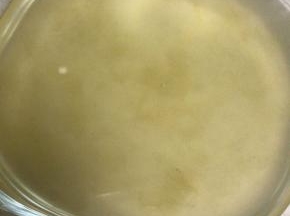 用冰粉籽搓冰粉，再加入澄清的石灰水。天气不是特别热，家里有孩子，我室温静止2个小时。如果放到冰箱，1个半小时就可以成行。