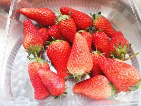 8.	清洗草莓，用厨房用纸将草莓表面的水分吸干，