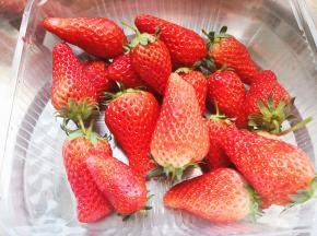8.	清洗草莓，用厨房用纸将草莓表面的水分吸干，