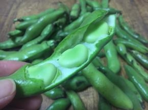 剥开蚕豆夹，里边就是嫩嫩的蚕豆。