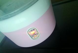 将纯牛奶，菌粉，细砂糖，充分搅拌融合，放入酸奶机中，通电8~10小时，如果天气冷适当延长发酵时间，12小时，