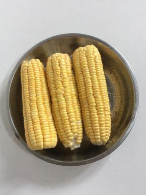 准备三根甜玉米。