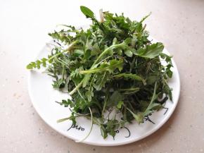 1.	蒲公英采摘回来，先摘去老叶和不好的叶子，再清洗干净，