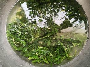 3.	再捞出投入凉水中将其拔透，目的是去除蒲公英的苦涩味，