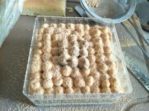 加一层蛋糕片，同样挤奶油，和豆乳，喜欢奶油多些的表面这层可以多些奶油，喜欢豆乳的，可以全部挤豆乳。再筛上熟豆粉，即可。