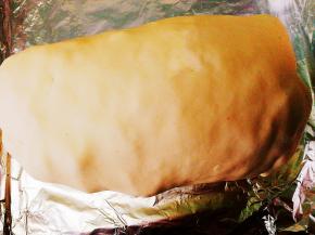 放在垫好铝箔纸的烤盘上，预热180度， 中下层， 烤60分钟。