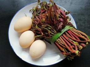 准备好材料，香椿和鸡蛋