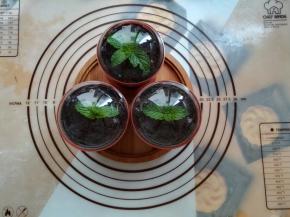 最后插上薄荷叶，放入冰箱冷藏风味更佳