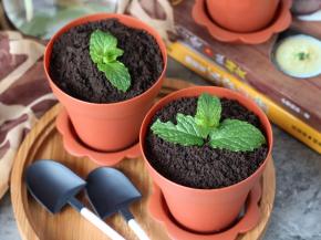 配上一把小铁锹，开始干活吧