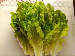 生菜洗净后沥干水份