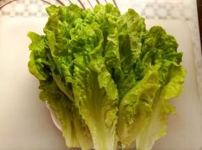 生菜洗净后沥干水份