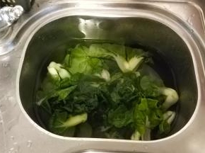 小白菜洗净