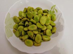 新鲜将蚕豆从豆荚中剥出