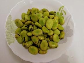 新鲜将蚕豆从豆荚中剥出