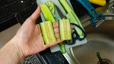 薄片剪成相等长度