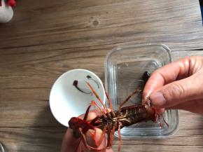 左手捏紧小龙虾的头和钳子，右手掐住虾尾部中间的部位，拉出虾肠