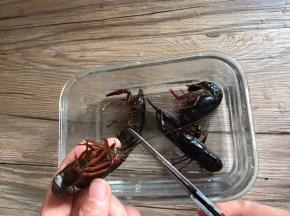 剪去虾须