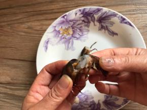 再把整个小龙虾的尾部掐下来