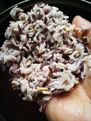 糯米，黑米，燕麦，大米各一把然后提前用水泡2小时